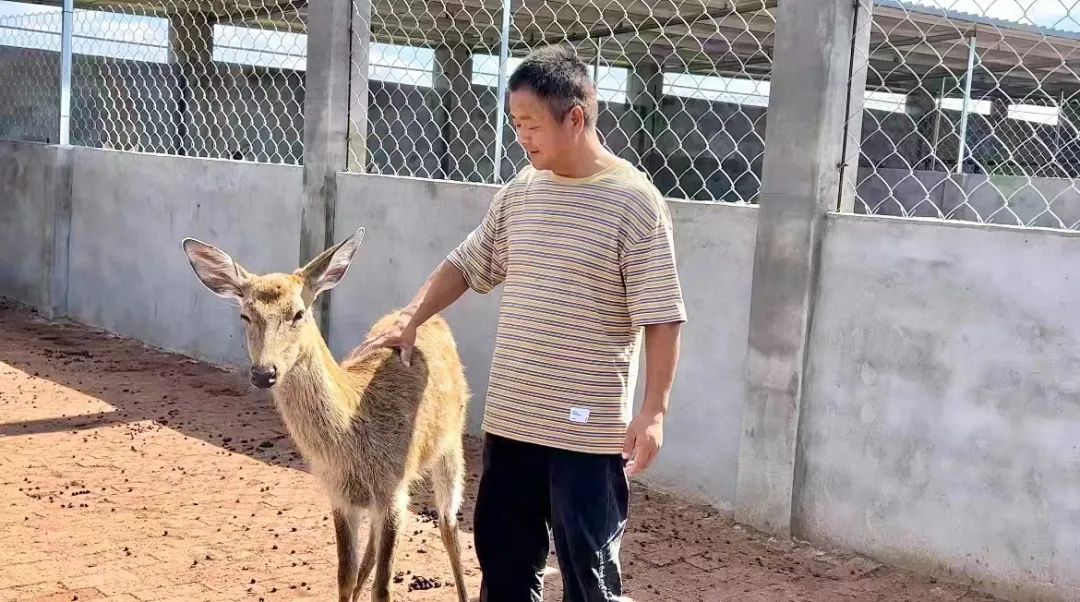 澳门十三第红包